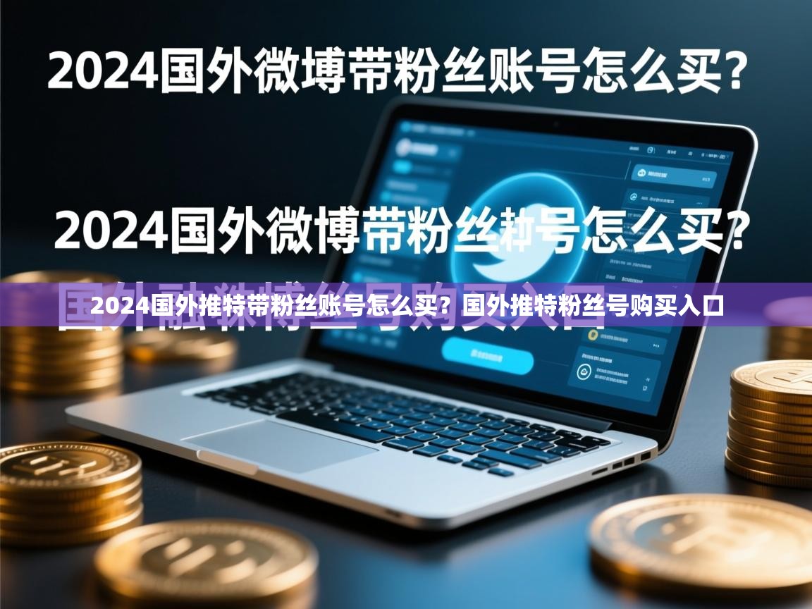 2024国外推特带粉丝账号怎么买？国外推特粉丝号购买入口