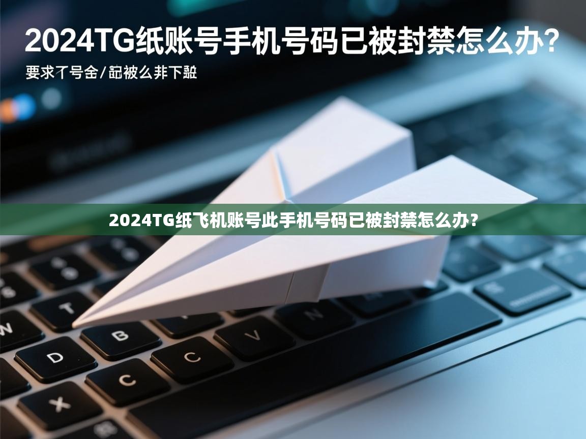 2024TG纸飞机账号此手机号码已被封禁怎么办？